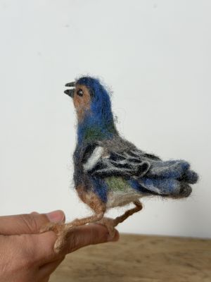 Tentilhão da Madeira