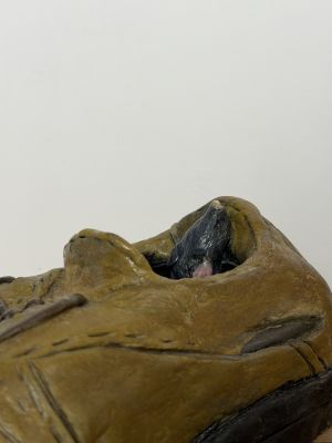 Sapato Velho